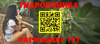 спиды Можга