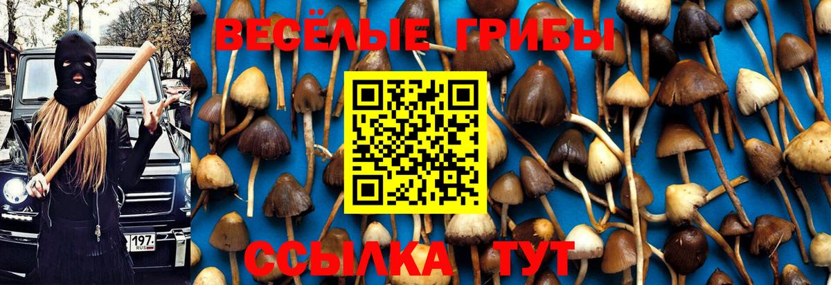Зерноград  Галлюциногенные грибы GOLDEN TEACHER  Вход с VPN  Галлюциногенные грибы GOLDEN TEACHER 